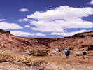 Full Size Image
