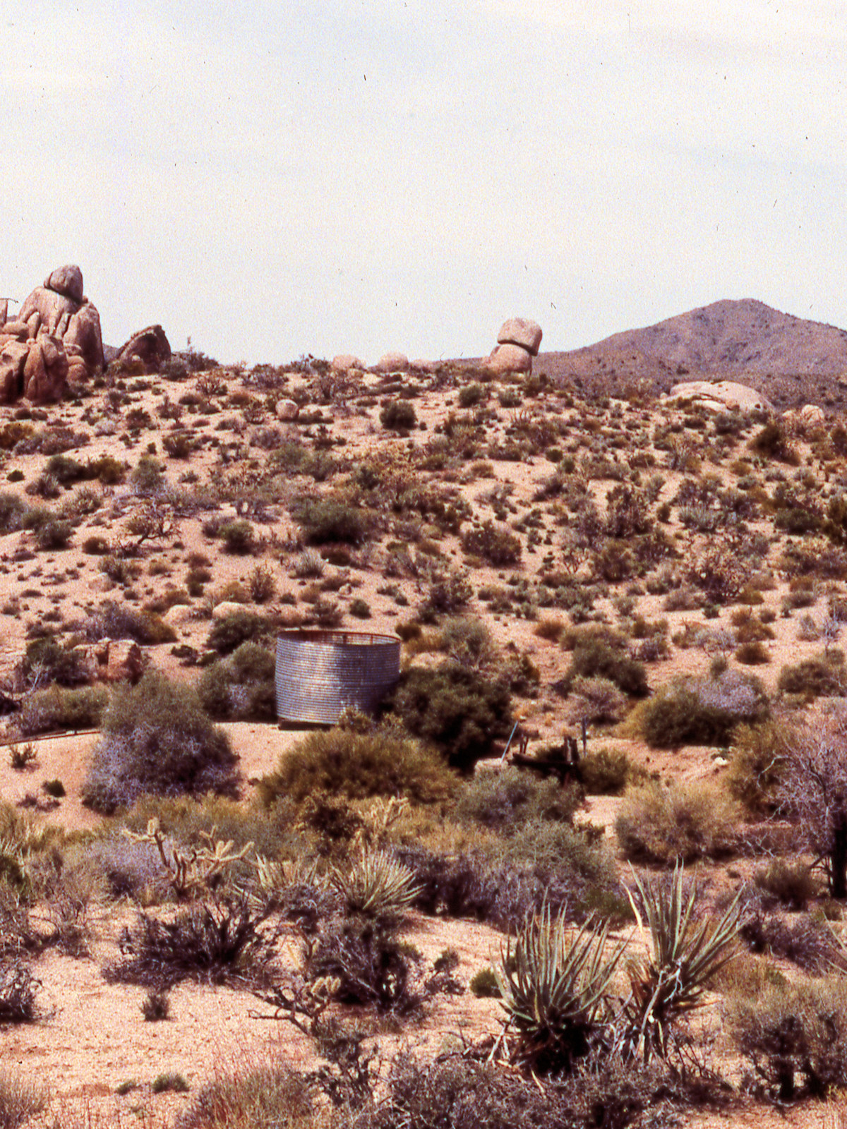 California, San Bernardino County, California, San Bernardino County, Kelso Dunes