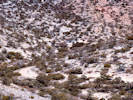 Full Size Image