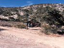 Full Size Image