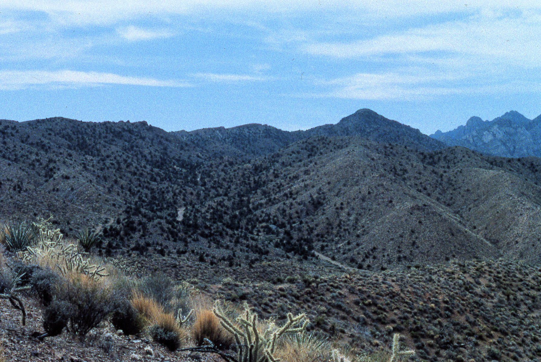 California, San Bernardino County, Globe Canyon