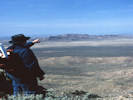 Full Size Image