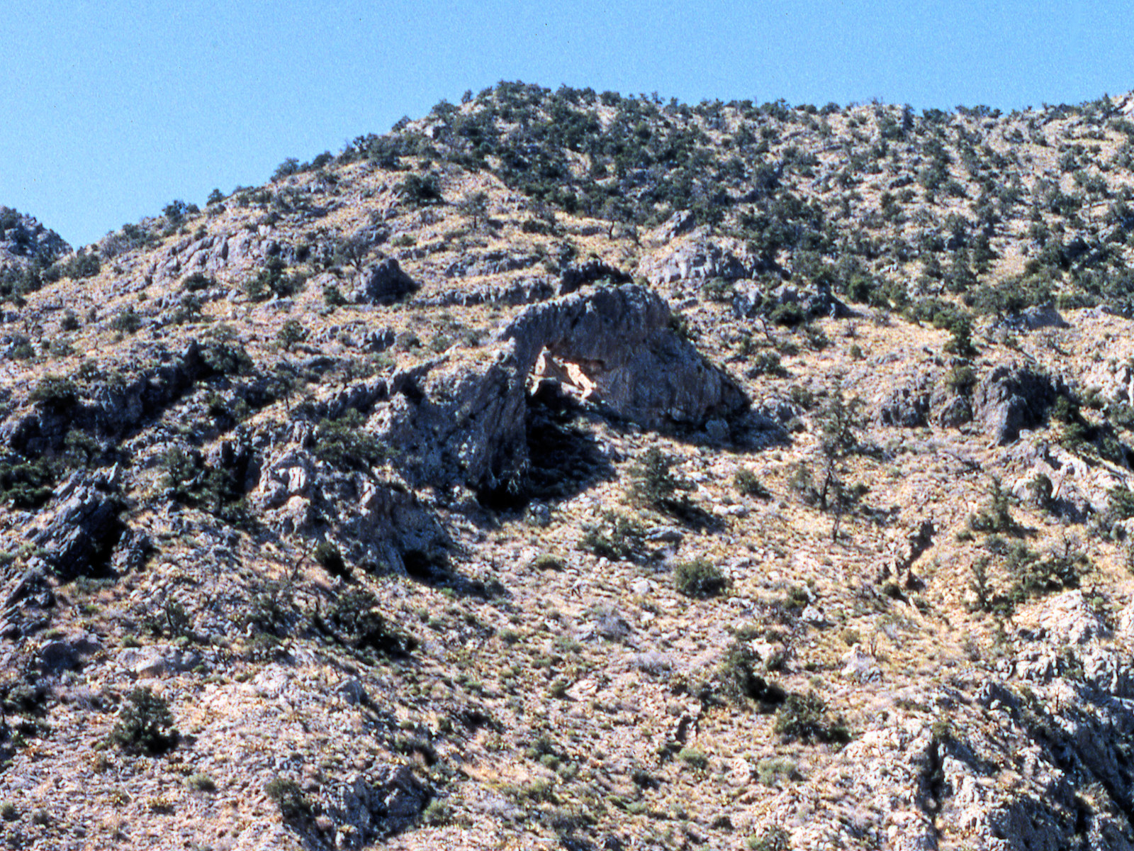 California, San Bernardino County, Bonanza King Canyon