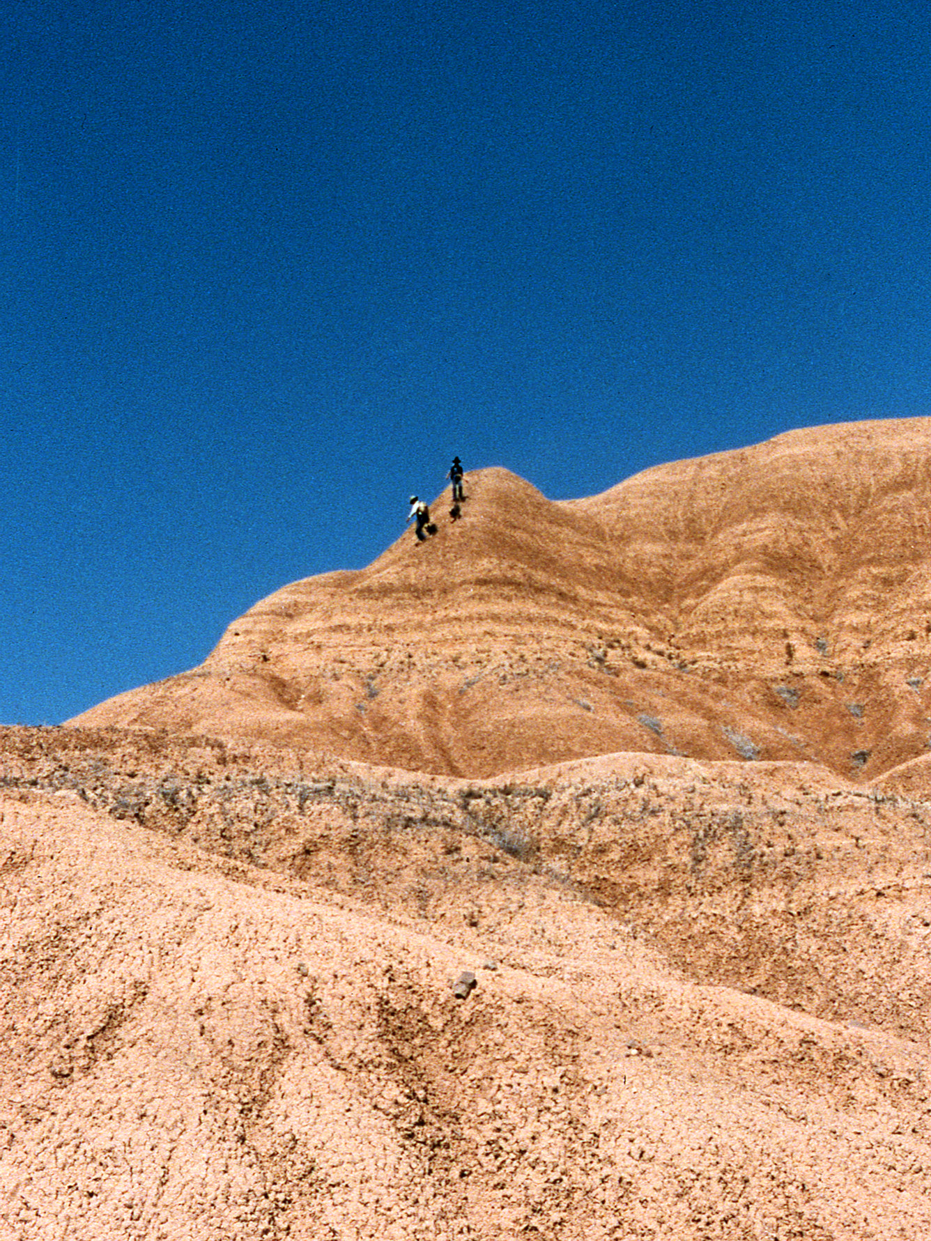 California, San Bernardino County, Piute Canyon