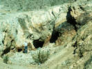 Full Size Image