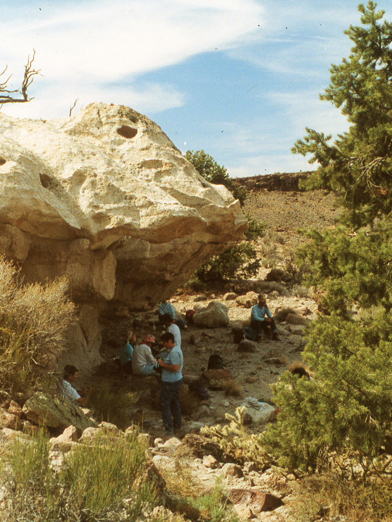 California, San Bernardino County, Woods Mountains