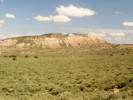 Full Size Image