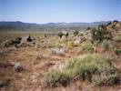 Full Size Image