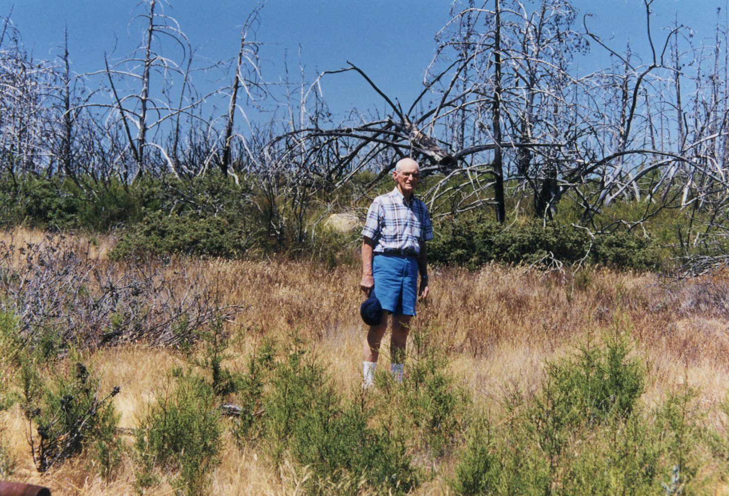 California, San Luis Obispo, Cuesta Ridge