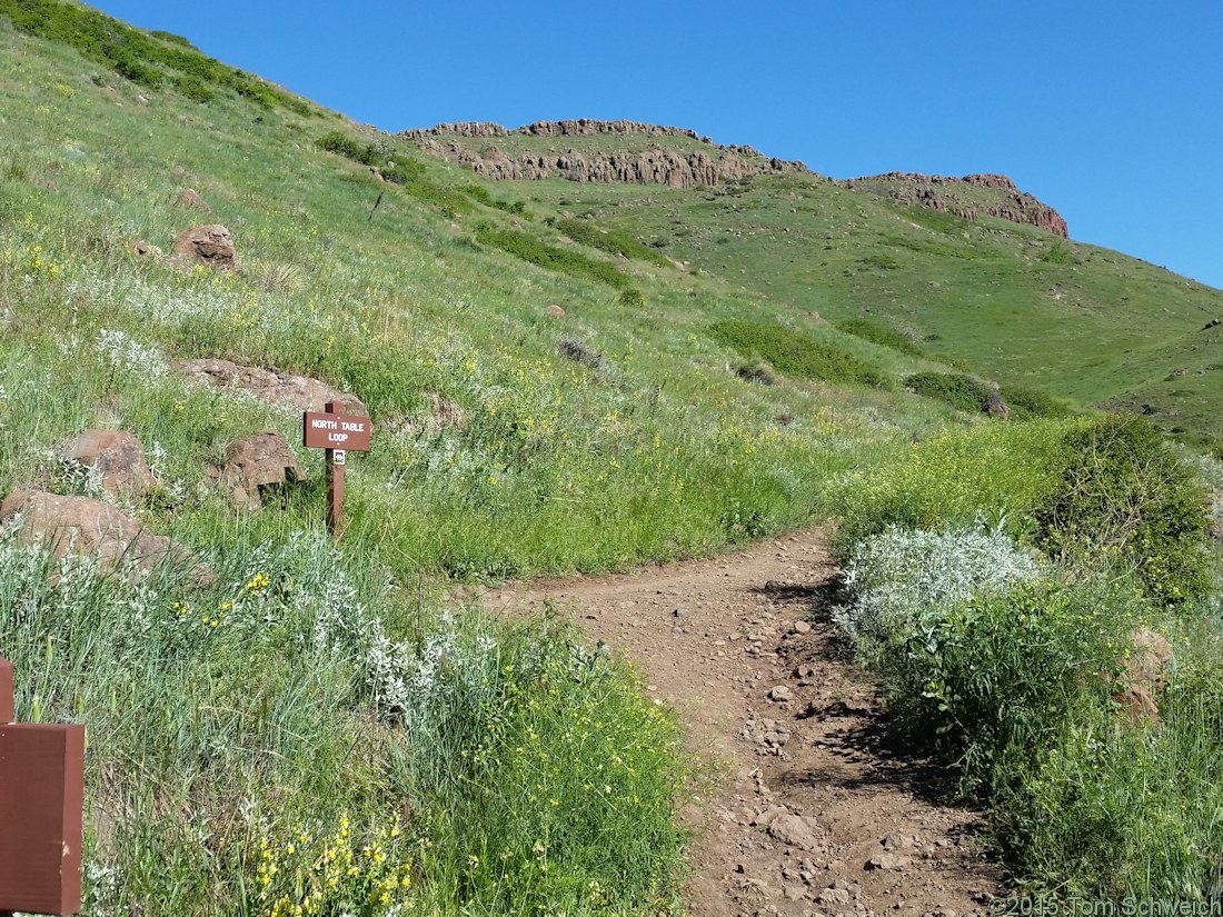 Colorado, Jefferson, North Table Mountain
