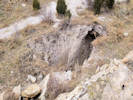 Full Size Image