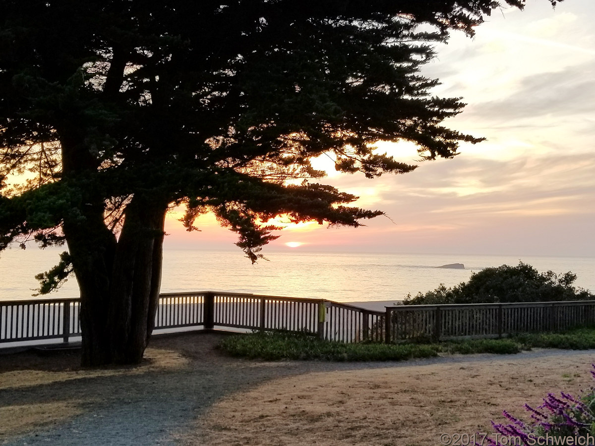 California, Mendocino County, Gualala