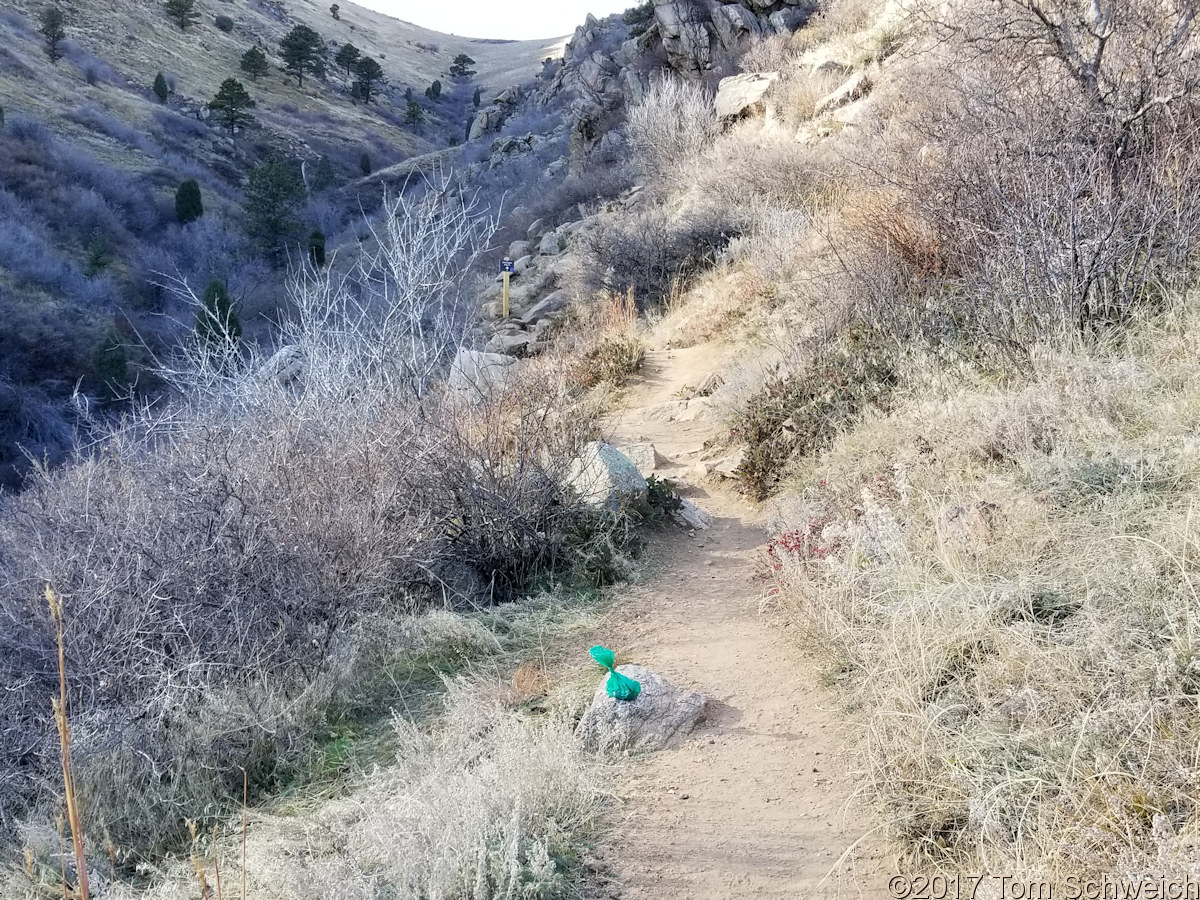 Colorado, Jefferson County, Mount Galbraith Park, Dog Poop