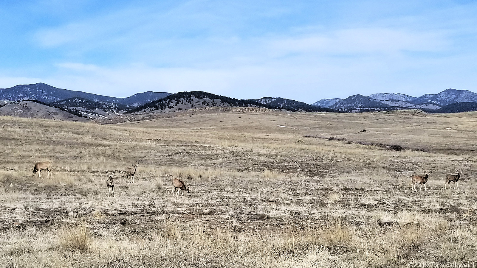 Colorado, Jefferson County, North Table Mountain