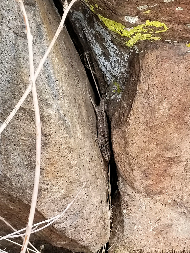 Colorado, Jefferson County, North Table Mountain, Climbing Access Trail