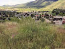 Full Size Image