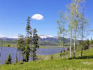 Full Size Image