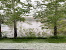 Full Size Image