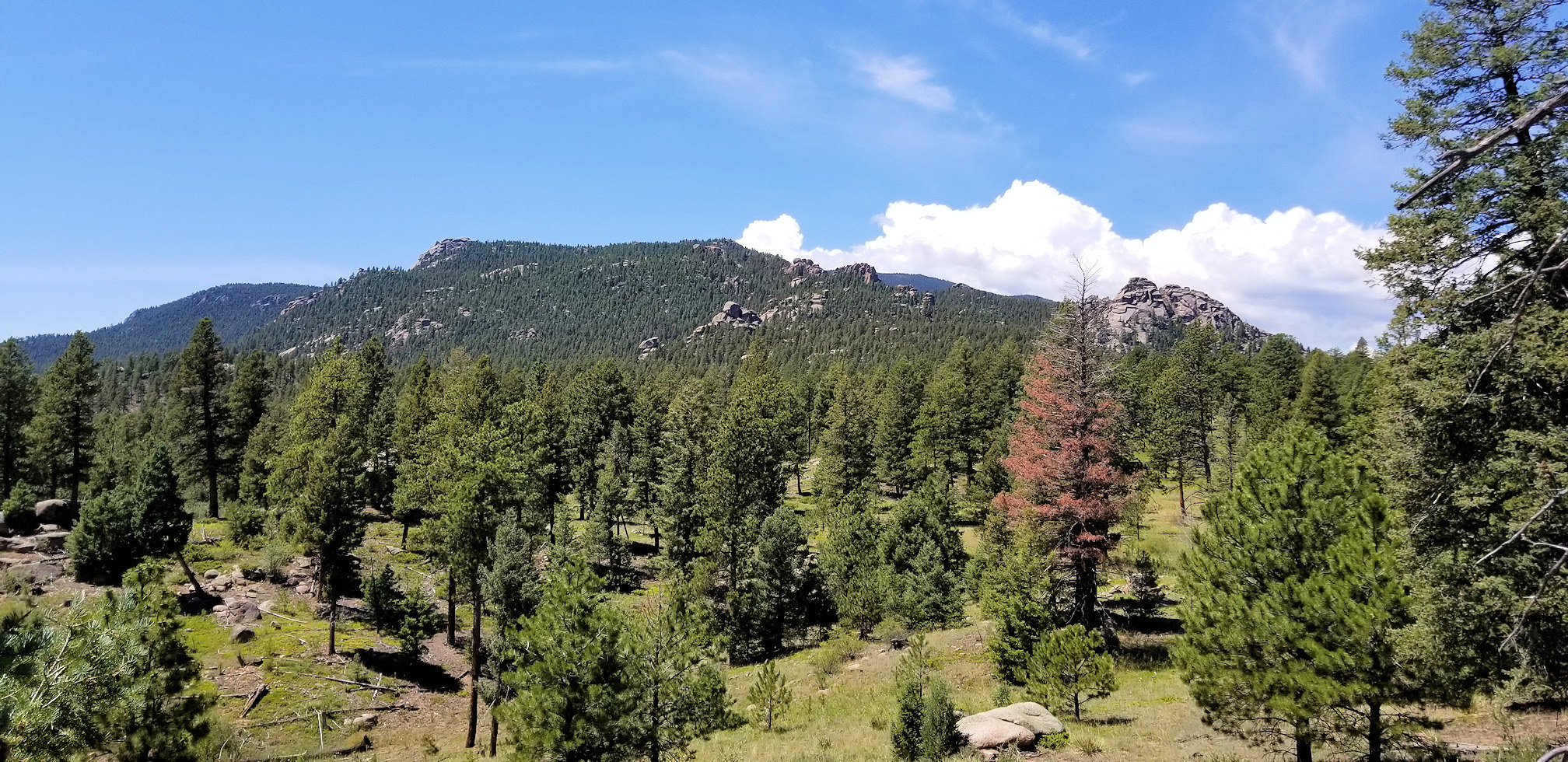 Colorado, Jefferson County, Little Scraggy Peak