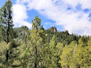 Full Size Image