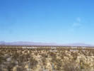 Full Size Image