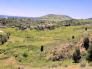 Full Size Image