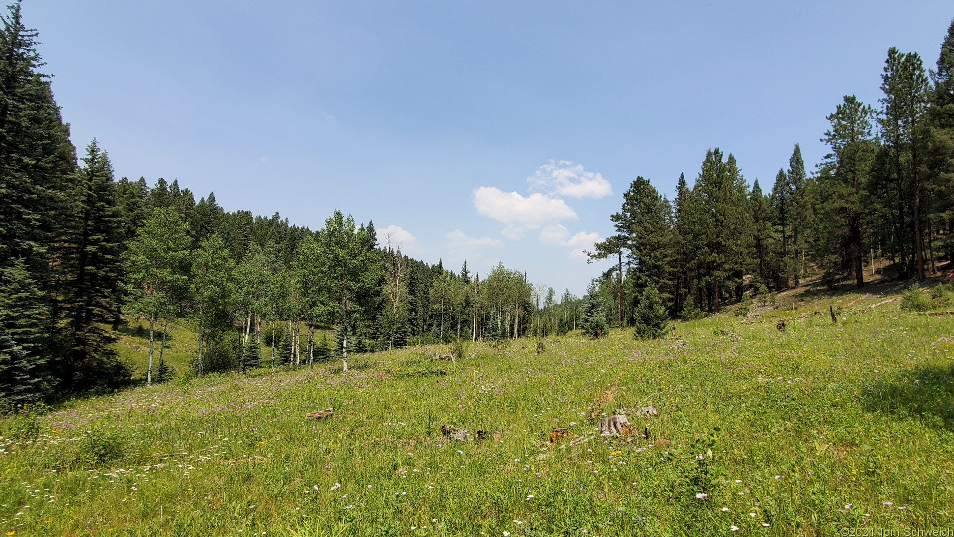 Colorado, Jefferson County, Morrison Creek