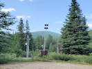 Full Size Image