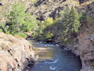 Full Size Image