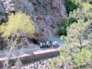 Full Size Image