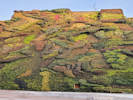 Full Size Image