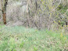 Full Size Image
