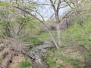 Full Size Image
