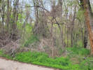 Full Size Image