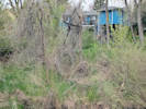 Full Size Image