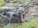 Full Size Image