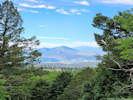 Full Size Image