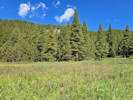 Full Size Image