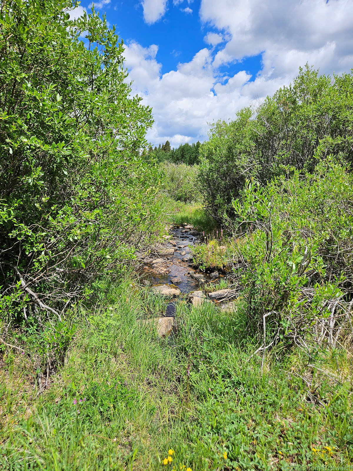 Colorado, Lake County, Forest Road 189