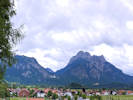 Full Size Image