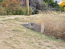 Full Size Image