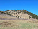 Full Size Image