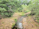 Full Size Image