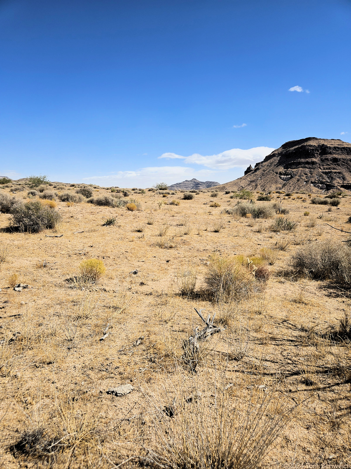 California, San Bernardino County, Lobo Point