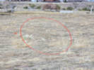Full Size Image