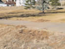 Full Size Image