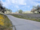 Full Size Image