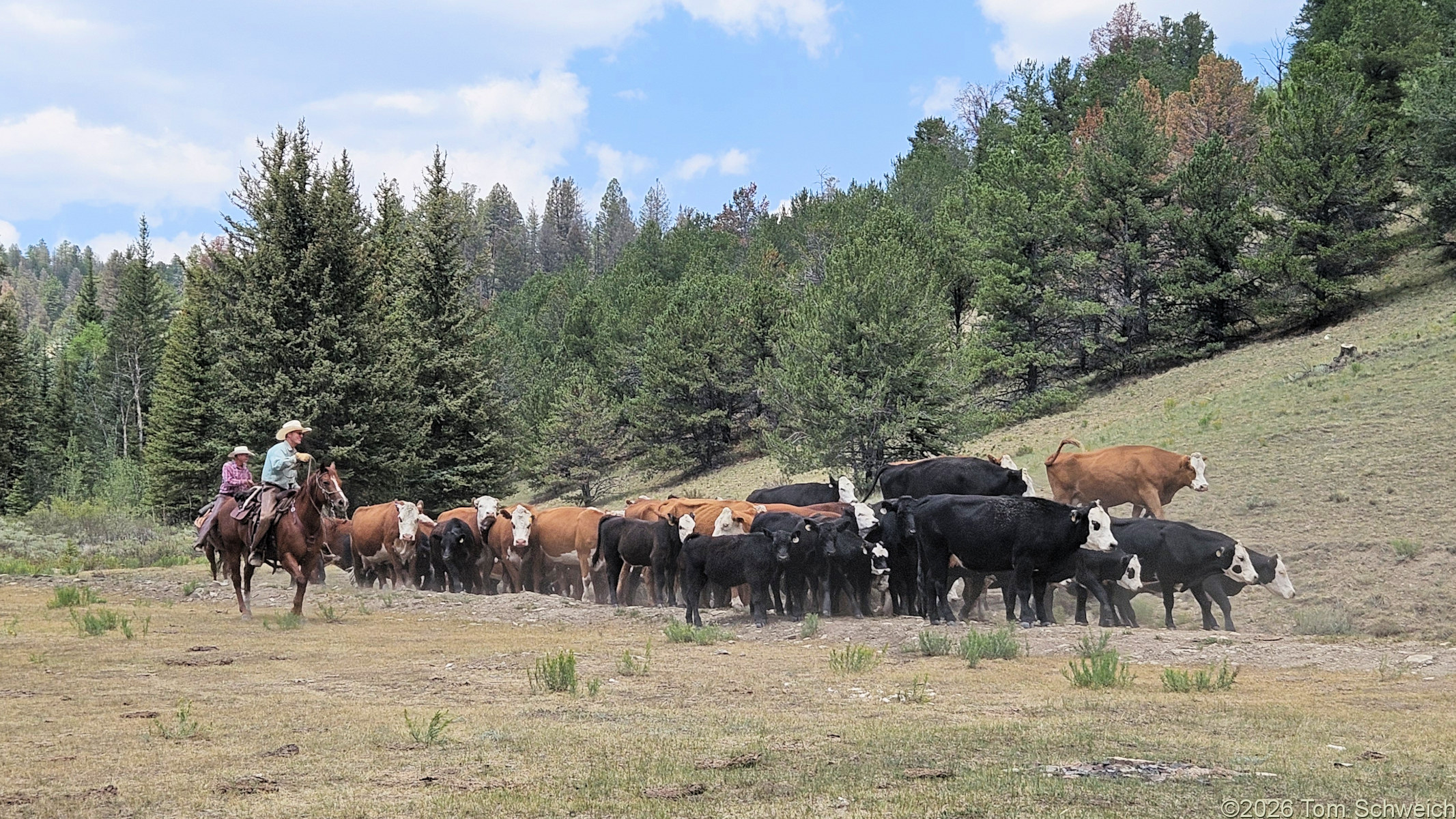 Colorado, Park, Salt Creek