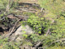 Full Size Image