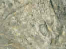 Full Size Image